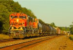 BNSF 251